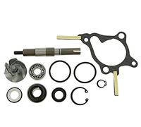 reparaturkit pompa dell' acqua - Foresight Fes 250 mf04 (1997 - 1999)