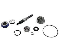 reparaturkit pompa dell' acqua - Honda Scoopy SH 125 4T (2004)