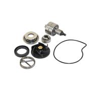reparaturkit pompa dell' acqua per Beverly 250, 300