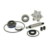 reparaturkt pompa dell' acqua PCX 125
