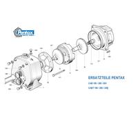 Reparaturset per Pompa Centrifuga Pentax Modello Cab / Cabt - Tipo 300