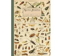 Répertoire Alphabétique: Grand format A4: 21x29,7 cm avec repères pour chaque lettre, 160 pages lignées. Jolie couverture Rétro & Vintage sur le thème de l'entomologie, illustration d'insectes.
