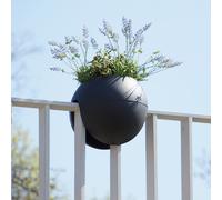 rephorm Vaso da Ringhiera - Bloomball - grafite (antracite)