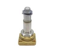 replacement parts, Compatibile con la testa di erogazione della macchina da caffè WEGA, valvola solenoide ASTORIA,for replace(Flat plate solenoid)