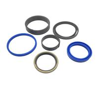 REPLACEMENTKITS.COM Kit di guarnizioni per cilindro idraulico compatibile con cilindri di sollevamento New Holland 18LA 260TLA 270L L360 L360A LX118 e LX360 (sostituisce 87038297)