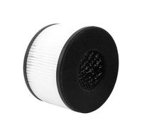 Replament True H Combo Filter,Compatible For PARTU，BS-03 BS-01 Smoke Removal Deization Assembly Deodorization Assembly(BS-03)