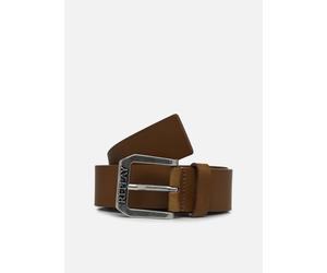 Replay - Ceinture EN CUIR Marrone - Cinture 100 Marrone