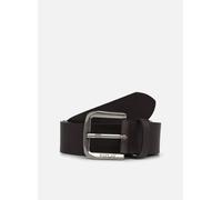 Replay - Ceinture EN CUIR Marrone - Cinture 105 Marrone