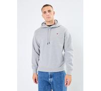 Replay - Sweat Capuche "R" Brodé Grigio - Abbigliamento XXL Grigio