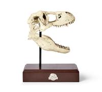 Replica In Resina Del Teschio Di Tyrannosaurus Rex 9x8 Pollici Di Jurassic World