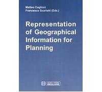 Representation of geographical information for planning