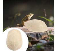 Reptile Nascondere La Grotta Piattaforma Di Assorbimento Del Sole Rettile