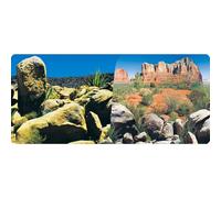 Reptiles Planet Desert Terrarium - Poster con 2 Lati, 15 m, 30 cm, Altezza