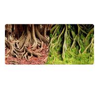 Reptiles Planet Poster Amazonian Tree Roots 2 Facce, 15 m, arrotolare, 50 cm, Altezza