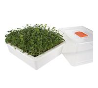 Reptiles Planet - Repti Serre - Mini serra di germinazione per nutrire tartarughe terrestri e rettili erbivori