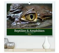 Reptilien & Amphibien Portraits (hochwertiger Premium Wandkalender 2026 DIN A2 quer), Kunstdruck in Hochglanz: Jahreskalender mit Portraits faszinierender Reptilien und Amphibien