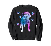 Rescue è Il Mio Pitbull Acquerello della Razza Preferita Felpa