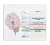 Research Office Decor Canvas Print Brain Science Neuroscience Educational Wall Art for University Classroom(Framed,12x18inch(30x45cm))