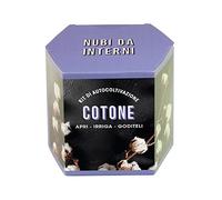 Resetea Kit di autocoltivazione Cotone, Nubi da Interni