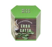 Resetea Kit di autocoltivazione Erba gatta, Miao Miao