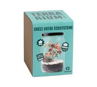 Resetea TR1 Terrarium-Kit di Coltivazione a casa