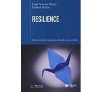 Resilience. Sette principi per una gestione aziendale sana e prudente
