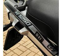 Resin Bike Adesivi Moto Compatibile con Bmw R 1250 GS Triple Black 2021. Protezioni Maniglie Passeggero da Urti e Graffi. Adesivi 3D Resinati - Nero e Argento Spazzolato