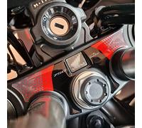 Resin Bike Adesivi Moto Compatibile con Honda Transalp XL 750 2023. Protezione Moto Piastra di Sterzo da Urti e Graffi. Adesivi 3D Resinati Neutro Metallizzato