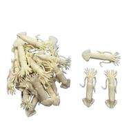 Resina Assemblato Modello Simulato Pesca Barca di Frutti di Mare Decorazione Modello Squid Simulato Vela Nave Accessori Modello Un Pezzo