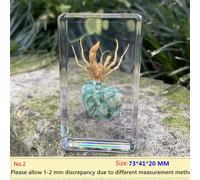 Resina Esemplare Fermacarte Calamaro Crab Mare Life per Scienza Insegnamento