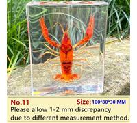 Resina Esemplare Fermacarte Calamaro Crab Mare Life per Scienza Insegnamento