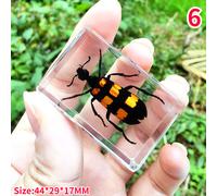 Resina Vero Insetti Campione Beetle Scorpione Fermacarte Collezione Creativo