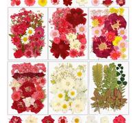 Resiners 174Pcs secchi fiori pressati per stampi in resina, rosso veri fiori pressati kit foglie secche per artigianato in resina gioielli fare scrapbook supplies carta fare sapone candela fai da te
