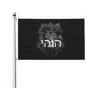 Resistente alle intemperie Bandiera doppia faccia Rqwaaed YHWH Lion of Judah - Yahweh in Hebrew Advocacy Bandiera con occhielli in metallo 3x5 Ft per Decorazioni per giardino,Decorazioni perpatio