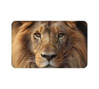 Resistente Sporco Zerbino Esterno African Lion Head, Tappetini, Cortile, Esterno, Cucina, Classico Tappeto da cucina 40X60cm
