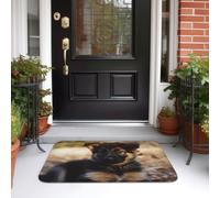 Resistente Zerbino di Benvenuto Shepherd German Puppy, Tappetino porta, Casa, Ingresso, Giardino, Morbido Tappeto da Bagno 40X60cm