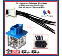 Resistenza Radiatore + Fascio Di Collegamento Per 206 = 6450EP