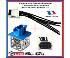 Resistenza Radiatore + Fascio Di Collegamento Per 206 = 6450EP