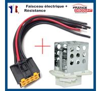 Resistenza + Fascio Elettrico Pinze per MASTER 2 Di 1998 Per 2010 7701057557