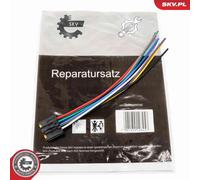 Resistenza ventola abitacolo per veicoli con aria condizionata 53SKV169 ESEN SKV