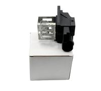 Resistenza Ventola Motore Riscaldatore Per Peugeot 207 208 407 508 Per Citroen C2 Per C3 DS3 Relè Resistenza Radiatore Motore 1267J6 98372A01 9827870080