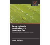 Resocjalizacja młodocianych przestępców: Czynniki wpływające na skuteczność procesu: Czynniki wp¿ywaj¿ce na skuteczno¿¿ procesu