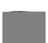 Respicefinem Bonsai Training Wire Premium Aluminum 30mm 0.12in 500g Black Flexible Rustproof for Garden Horticulture Shaping and Decorating Indoor Outdoor Plants (1.0mm)