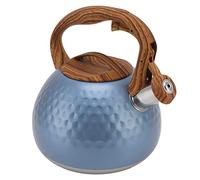 Respicefinem TEAPOT ACCIAIO DEL TEA DEL TEA TECA IN COLLA IN ACCIAIO IN INSOGLIO CON MANORA ERGONOMIC per la stufa in ceramica elettrica a induzione Bianco puro (Flash Blue)