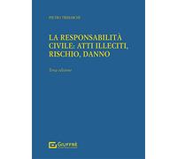 Responsabilità Civile: Atti Illeciti, Rischio, Danno