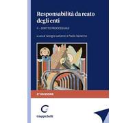 Responsabilità da reato degli enti. Vol. 2: Diritto processuale