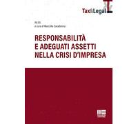 Responsabilità E Adeguati Assetti Nella Crisi D'Impresa - - 2023