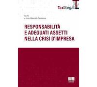 Responsabilità e adeguati assetti nella crisi d'impresa