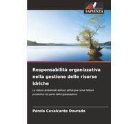 Responsabilità organizzativa nella gestione delle risorse idriche: La visione ambientale dell'uso dell'acqua come fattore produttivo da parte dell'organizzazione