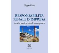 Responsabilità penale d'impresa. Analisi storica, attuale e comparata